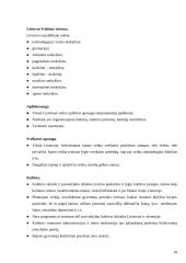 Lietuvos darbo biržos naujų technologijų  įdiegimo strategija 18 puslapis