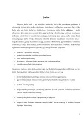 Lietuvos darbo biržos naujų technologijų  įdiegimo strategija 3 puslapis