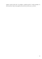 Policijos pajėgų ir priemonių panaudojimo taktika malšinant masines riaušes 16 puslapis