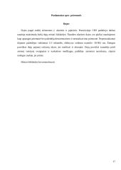 Policijos pajėgų ir priemonių panaudojimo taktika malšinant masines riaušes 17 puslapis