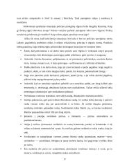 Policijos pareigūnų etika 16 puslapis