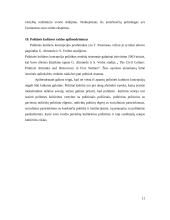 Politinė kultūros ištakos ir raida 11 puslapis