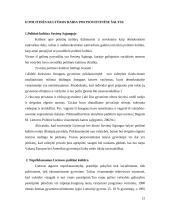 Politinė kultūros ištakos ir raida 12 puslapis