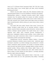 Politinė kultūros ištakos ir raida 13 puslapis