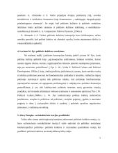 Politinė kultūros ištakos ir raida 5 puslapis