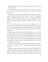 Politinė kultūros ištakos ir raida 9 puslapis