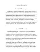 Politinė kultūra ir viešasis administravimas 2 puslapis