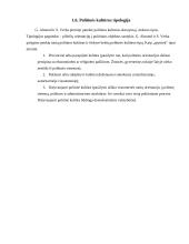 Politinė kultūra ir viešasis administravimas 7 puslapis