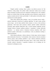 Politinės darbotvarkės formavimas 2 puslapis