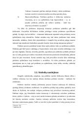 Politinės darbotvarkės formavimas 12 puslapis