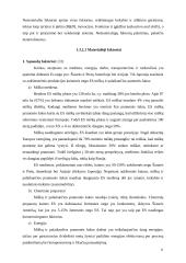 Medienos pramonė 1991-2003 metais 10 puslapis