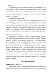 Medienos pramonė 1991-2003 metais 11 puslapis