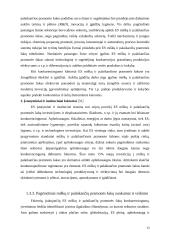 Medienos pramonė 1991-2003 metais 12 puslapis