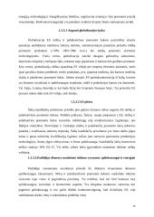 Medienos pramonė 1991-2003 metais 13 puslapis