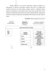 Medienos pramonė 1991-2003 metais 16 puslapis