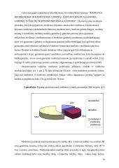 Medienos pramonė 1991-2003 metais 17 puslapis