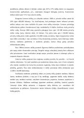 Medienos pramonė 1991-2003 metais 18 puslapis