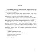 Medienos pramonė 1991-2003 metais 3 puslapis