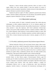 Medienos pramonė 1991-2003 metais 9 puslapis