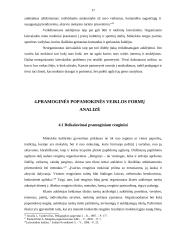 Popamokinės veiklos organizavimas 17 puslapis