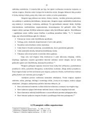 Popamokinės veiklos organizavimas 19 puslapis