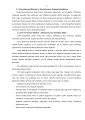 Populiariausios pasų klastojimo technologijos 12 puslapis