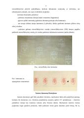 Populiariausios pasų klastojimo technologijos 17 puslapis