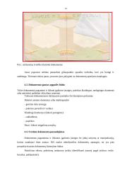 Populiariausios pasų klastojimo technologijos 19 puslapis