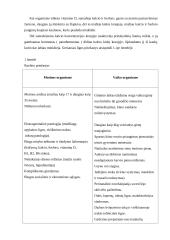 Rachito profilaktikos įtaka ligos išsivystymui 4 puslapis