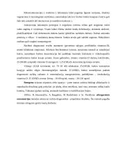 Rachito profilaktikos įtaka ligos išsivystymui 8 puslapis