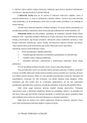 Rusijos federacinės respublikos valdymo ir administravimo sistema 11 puslapis