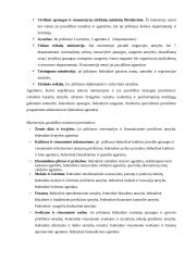 Rusijos federacinės respublikos valdymo ir administravimo sistema 14 puslapis