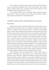 Rusijos federacinės respublikos valdymo ir administravimo sistema 20 puslapis