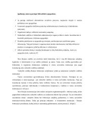 Rusijos federacinės respublikos valdymo ir administravimo sistema 8 puslapis