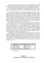 Tarpusavio santykių vertinimas po santuokos 11 puslapis