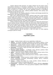 Tarpusavio santykių vertinimas po santuokos 5 puslapis