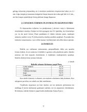 Trafaretinės spaudos mašinų konstrukcijų ypatumai 11 puslapis