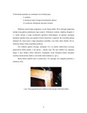 Trafaretinės spaudos mašinų konstrukcijų ypatumai 4 puslapis