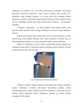 Trafaretinės spaudos mašinų konstrukcijų ypatumai 8 puslapis