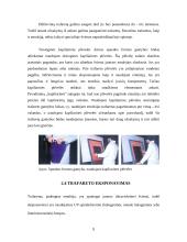 Trafaretinės spaudos mašinų konstrukcijų ypatumai 9 puslapis