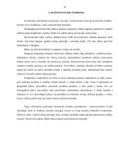 Populiariausios pozicionavimo teorijos ir jų panaudojimas 12 puslapis