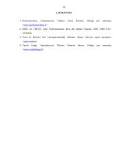 Populiariausios pozicionavimo teorijos ir jų panaudojimas 18 puslapis