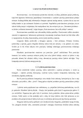 Populiariausios pozicionavimo teorijos ir jų panaudojimas 5 puslapis