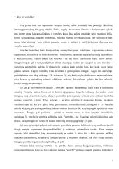 Populiariųjų žurnalų vertybės moksleivių akimis 4 puslapis