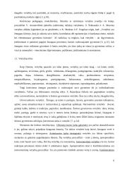 Populiariųjų žurnalų vertybės moksleivių akimis 5 puslapis