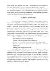 Vertėjo kultūra ir kompetencijos 13 puslapis