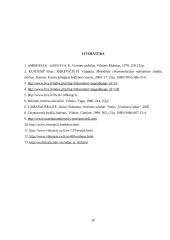 Vertėjo kultūra ir kompetencijos 20 puslapis