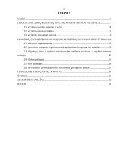 Poreikio kaimo socialinėms paslaugoms Elektrėnų savivaldybėje tyrimas 2 puslapis