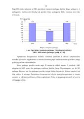 Poreikio kaimo socialinėms paslaugoms Elektrėnų savivaldybėje tyrimas 19 puslapis