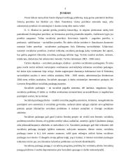 Poreikio kaimo socialinėms paslaugoms Elektrėnų savivaldybėje tyrimas 3 puslapis